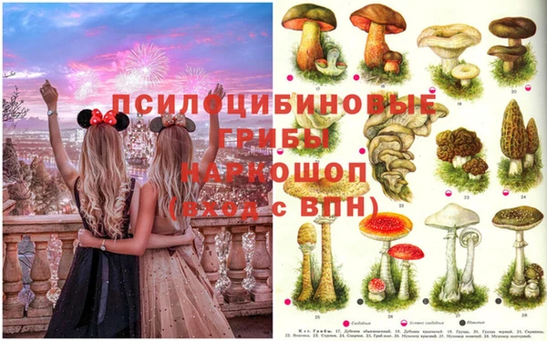 эйфоретик Балахна