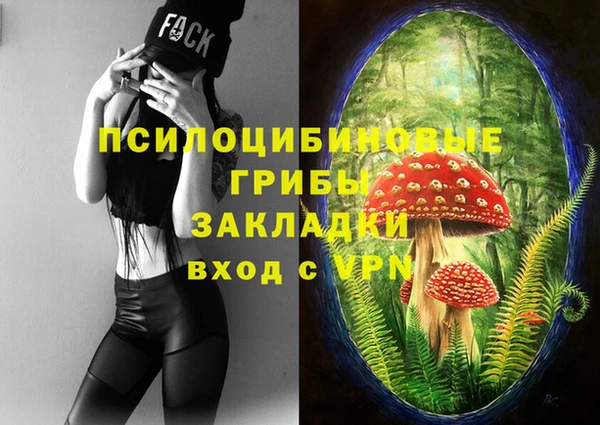 эйфоретик Балахна